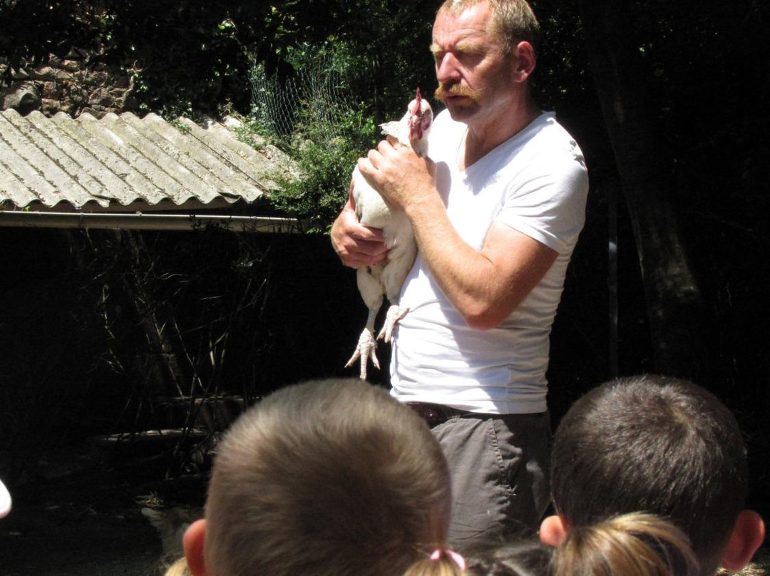 La Ferme aux Cinq Saisons景点图片