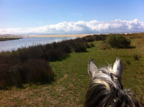 Hurricane Hipica - Day Tours-塔里法必去景点