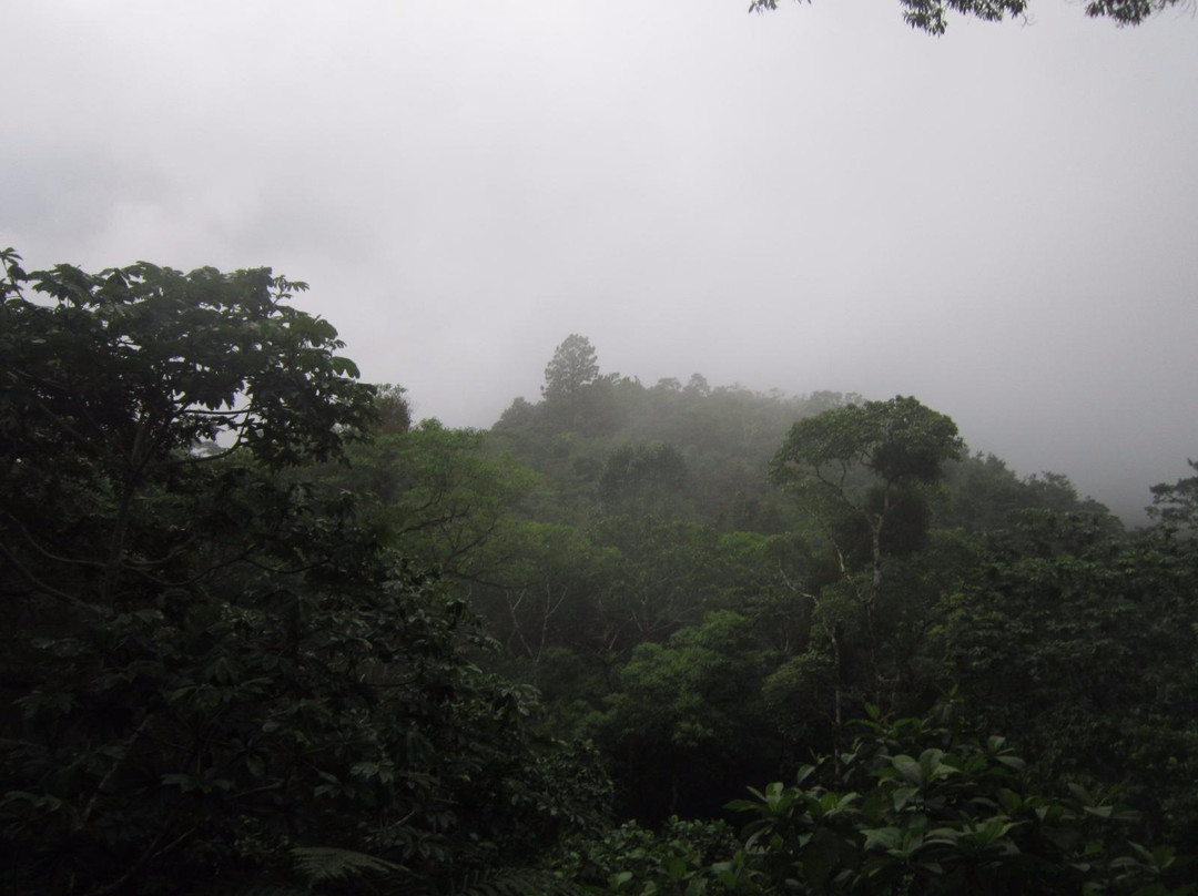 Finca Ceriana Nature Reserve景点图片