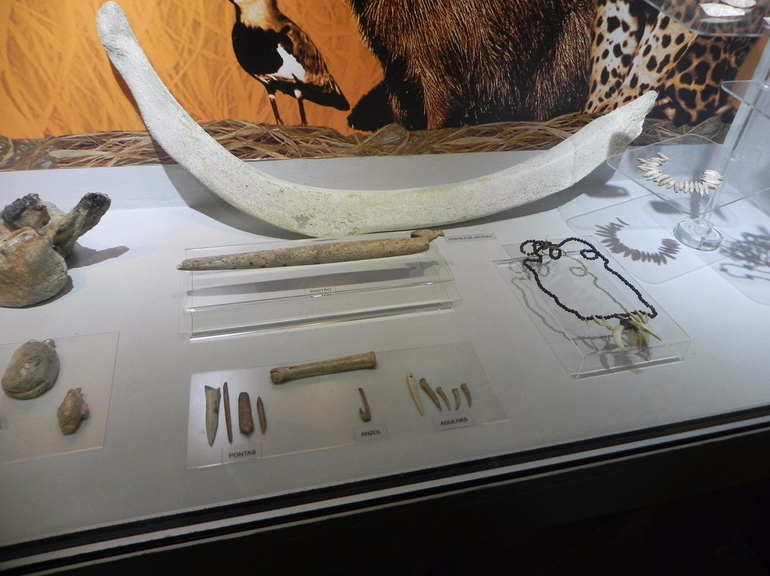 Museu Arqueológico de Sambaqui