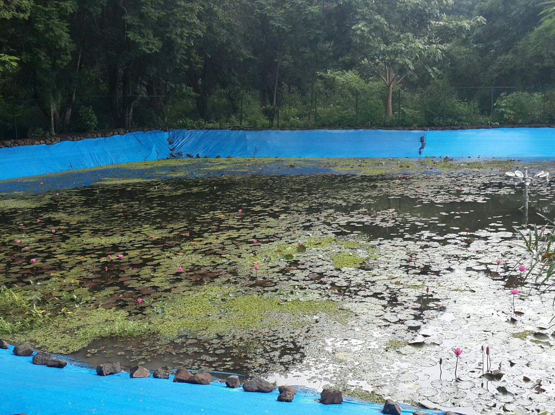 Waghai Botanical Garden景点图片