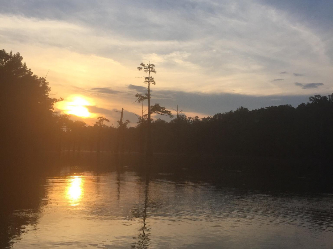 Moro Bay State Park景点图片