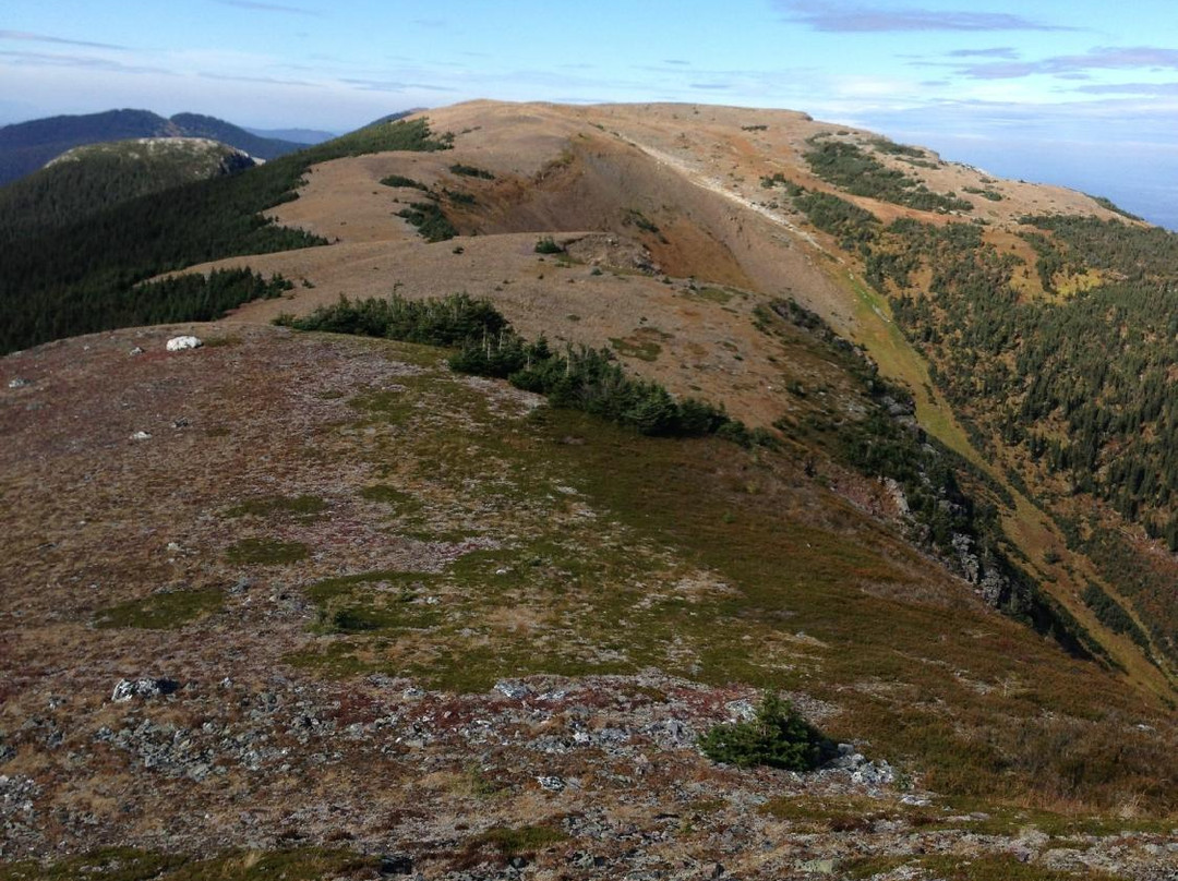 Sugarbowl-Grizzly Den Provincial Park and Protected Area景点图片