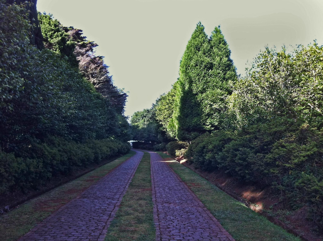 Quinta da Junta Garden-Santo Antonio da Serra必去景点