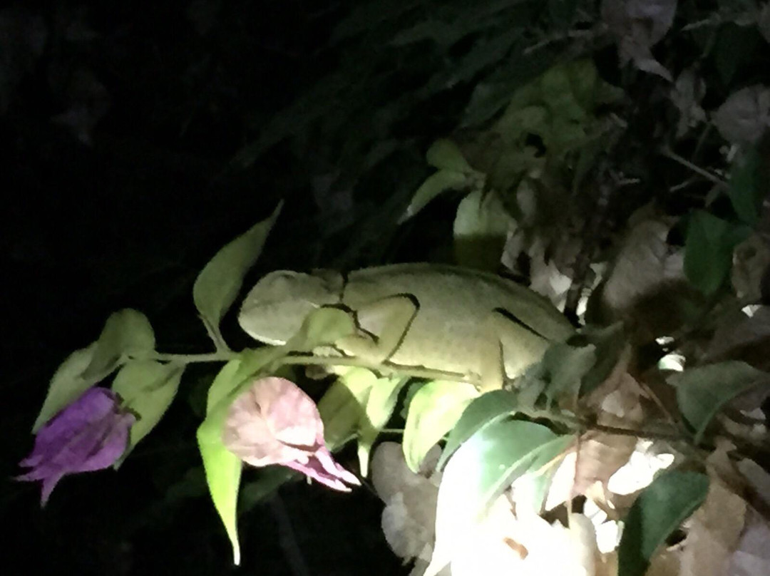 Jardín Botanico Celestino Mutis-罗塔必去景点