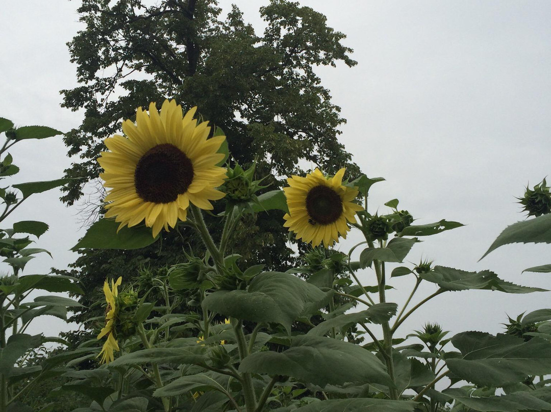 Wildlife Discovery Center-Lake Forest必去景点