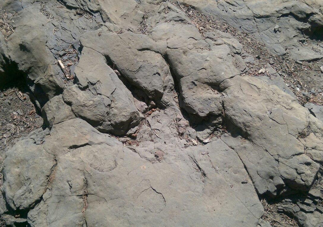 Flatbed Valley-Tumbler Ridge必去景点