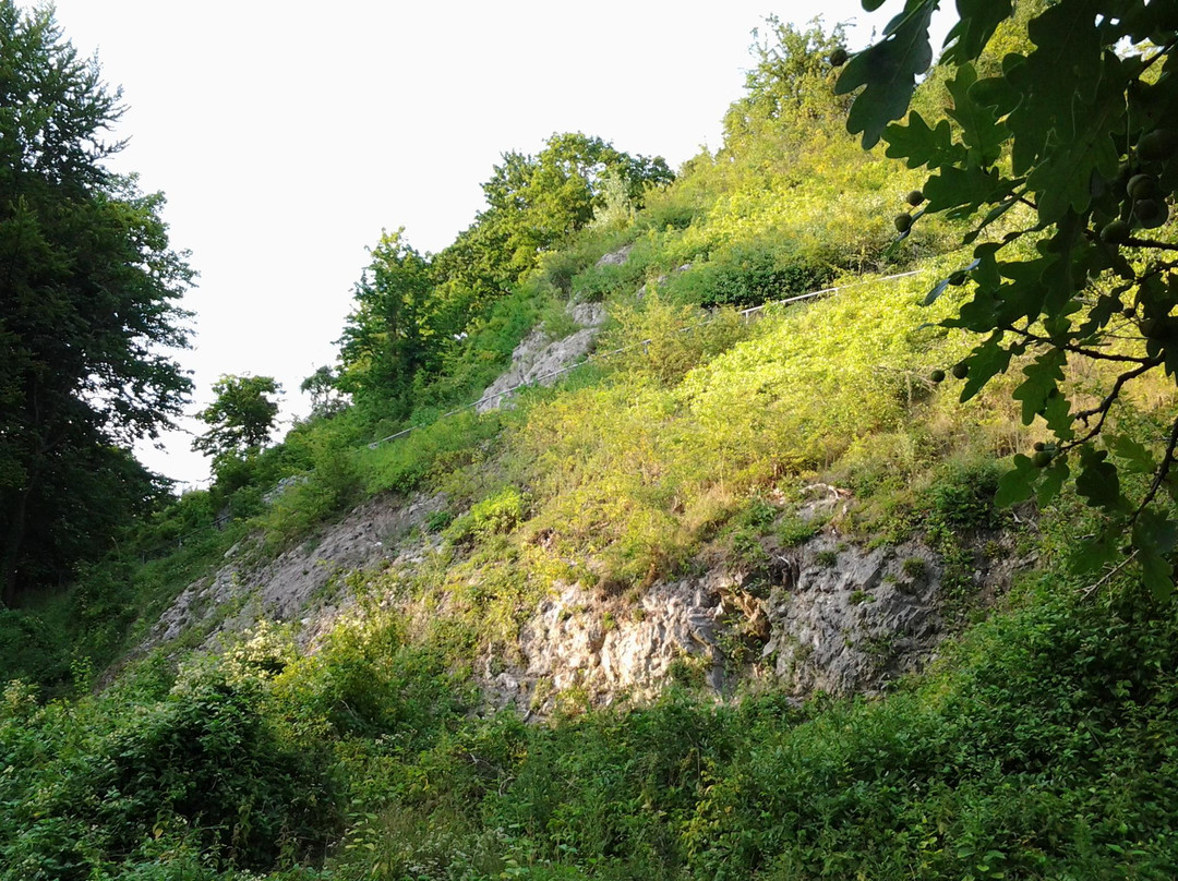 Kalkberg-吕讷堡必去景点