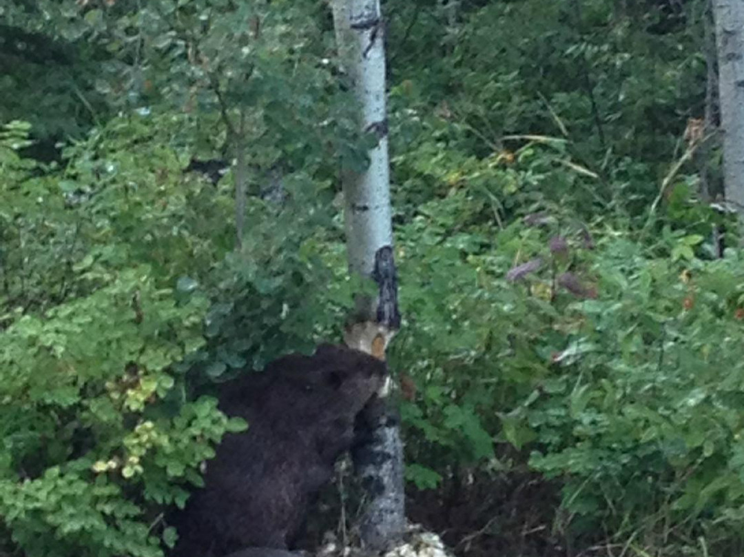 Long Lake Provincial Park-Ellscott必去景点
