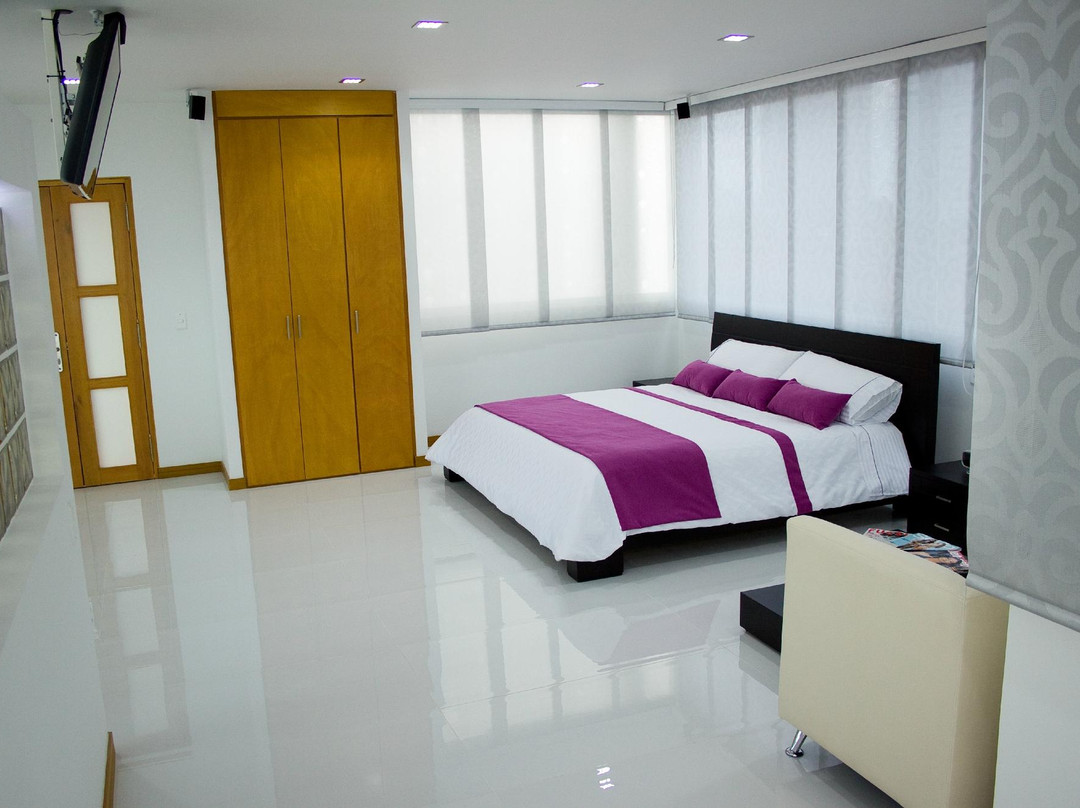 Hotel San Antonio Plaza主图