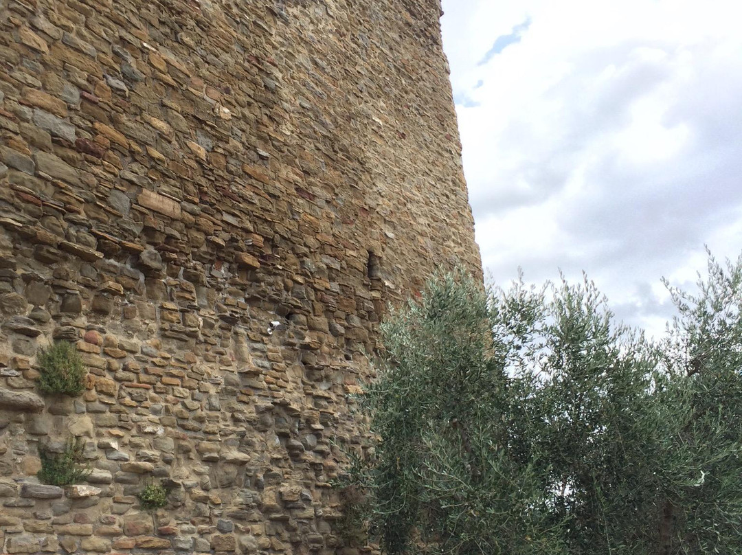 Castello di Montecchio Vesponi景点图片
