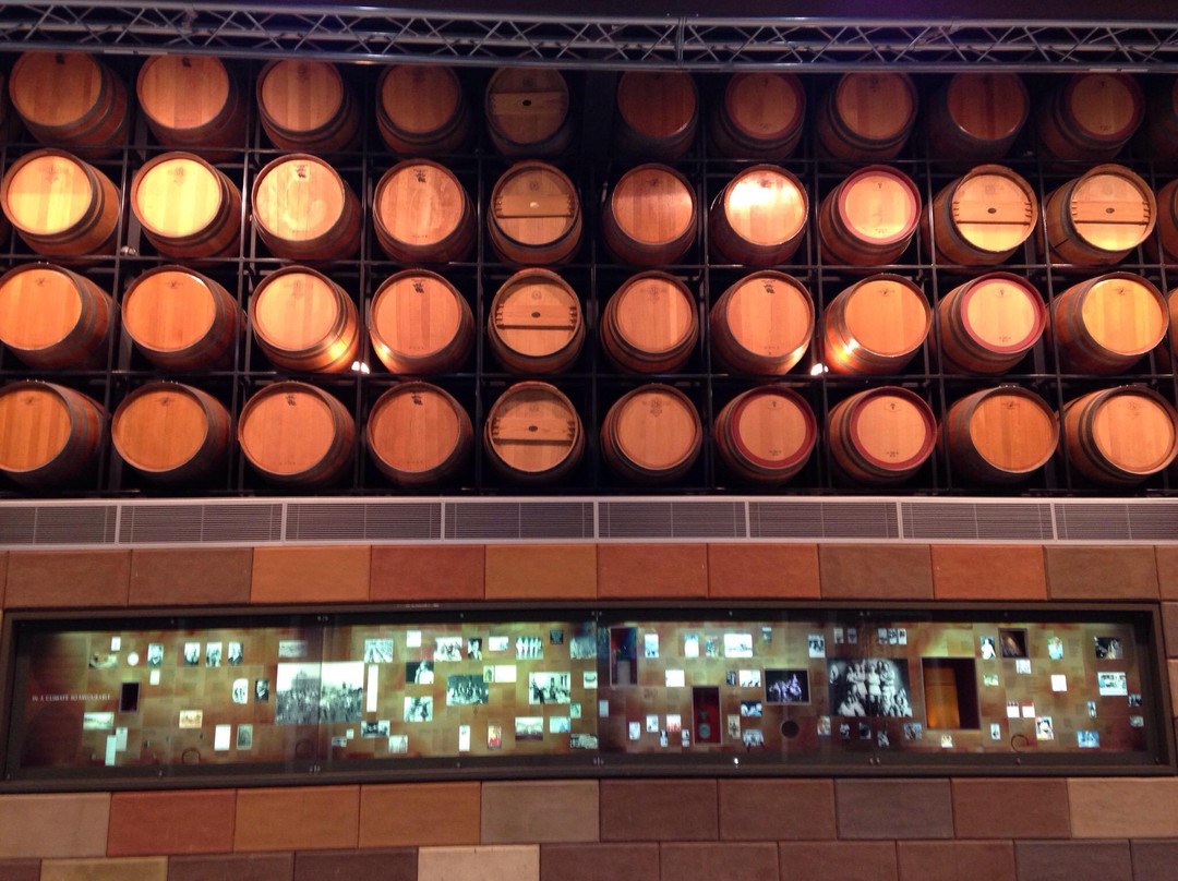 National Wine Centre of Australia景点图片