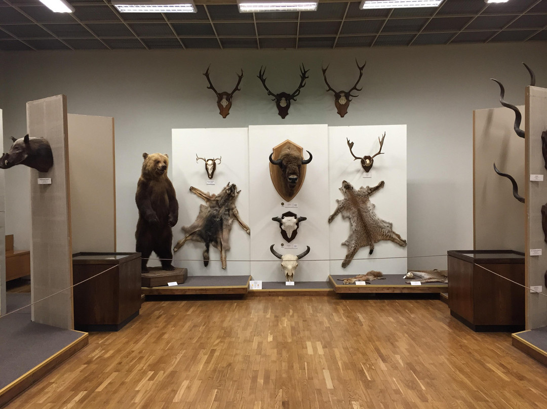 Kauno Tado Ivanausko Zoologijas Muziejus-考那斯必去景点