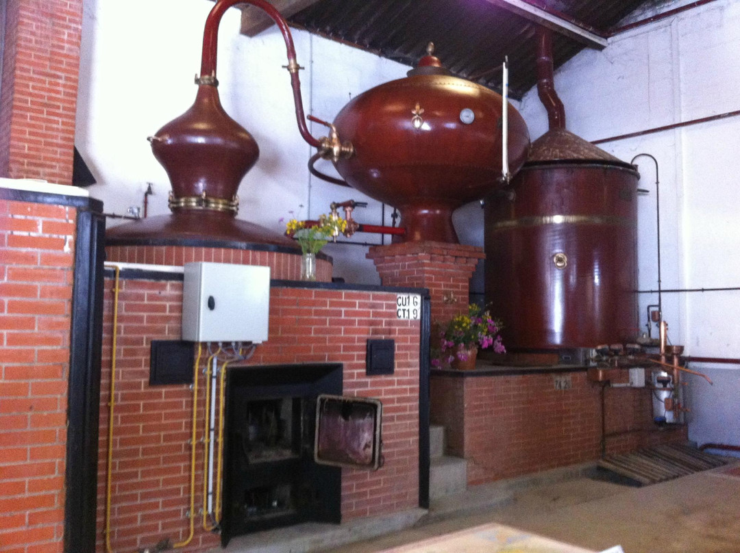 Domaine Raymond Bossis景点图片