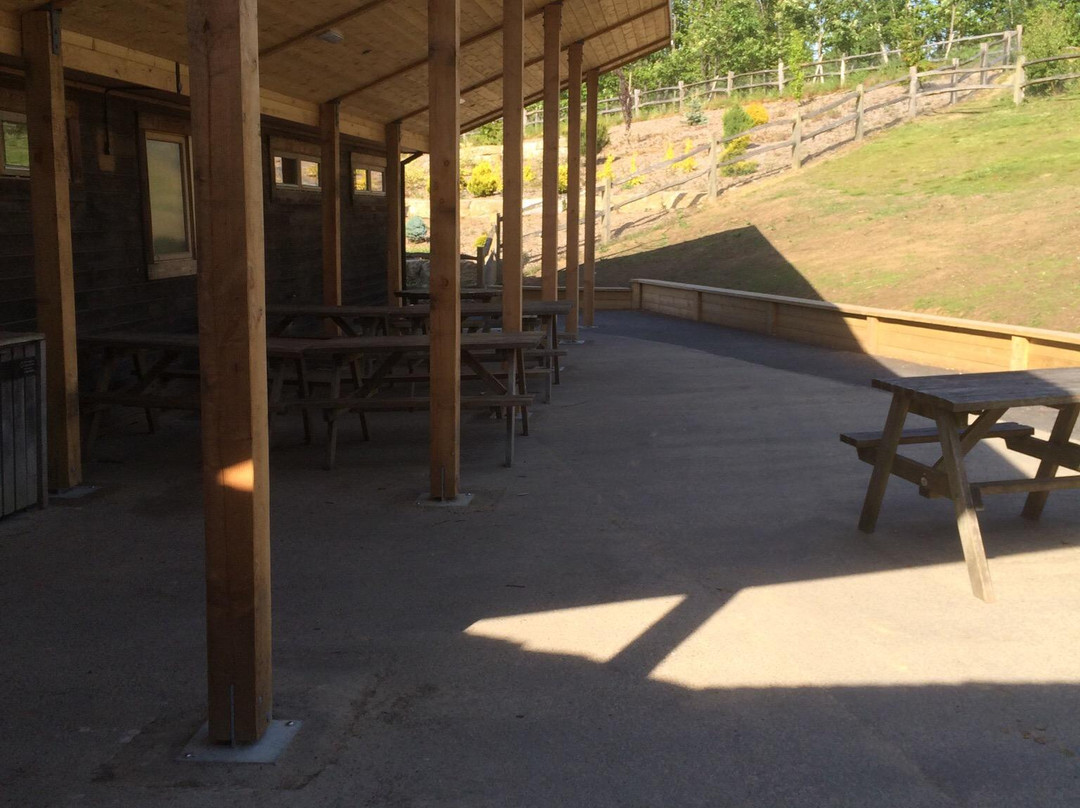 Go Ape Bedgebury-Goudhurst必去景点