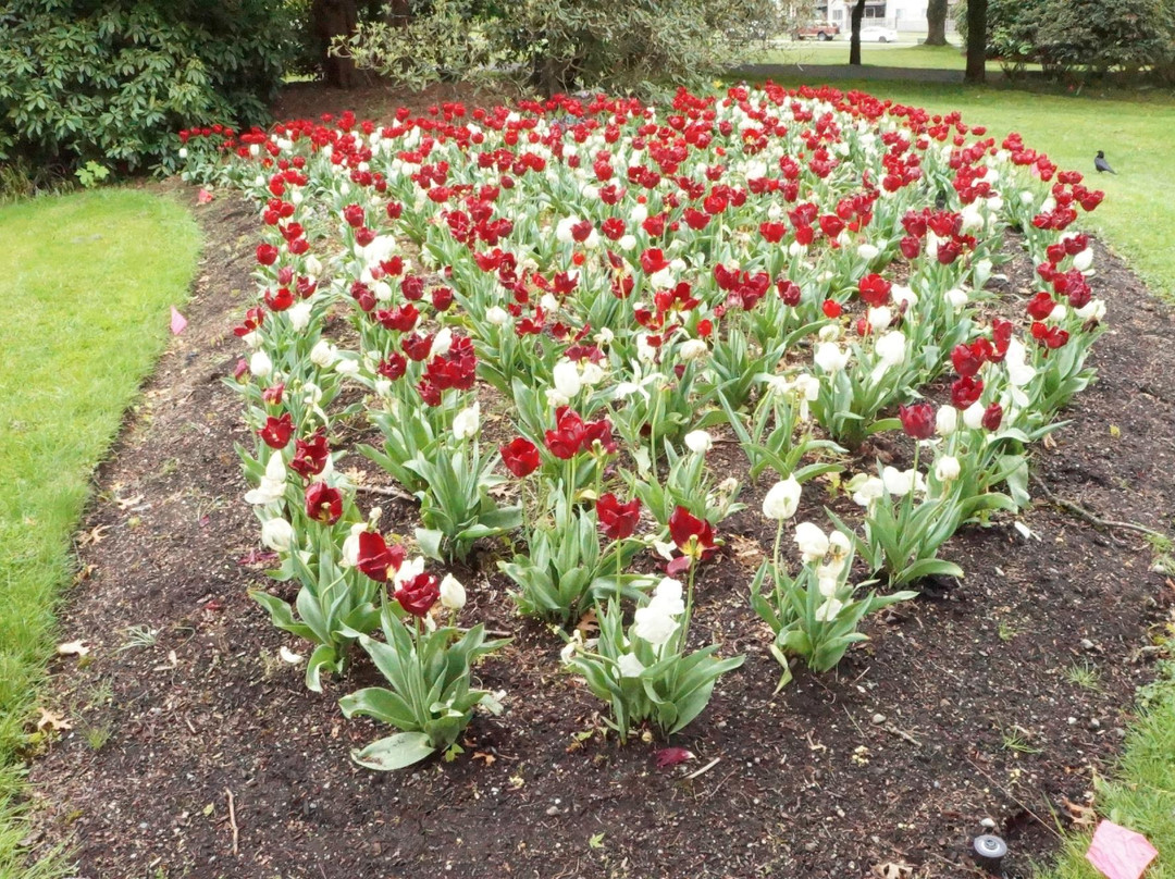 Victoria Park-北温哥华必去景点