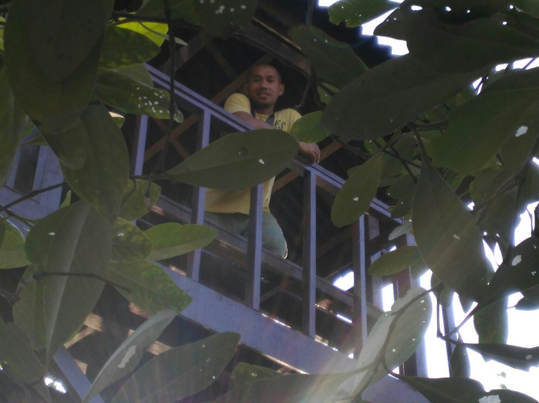 Margomulyo Mangrove Forest-巴厘巴板必去景点