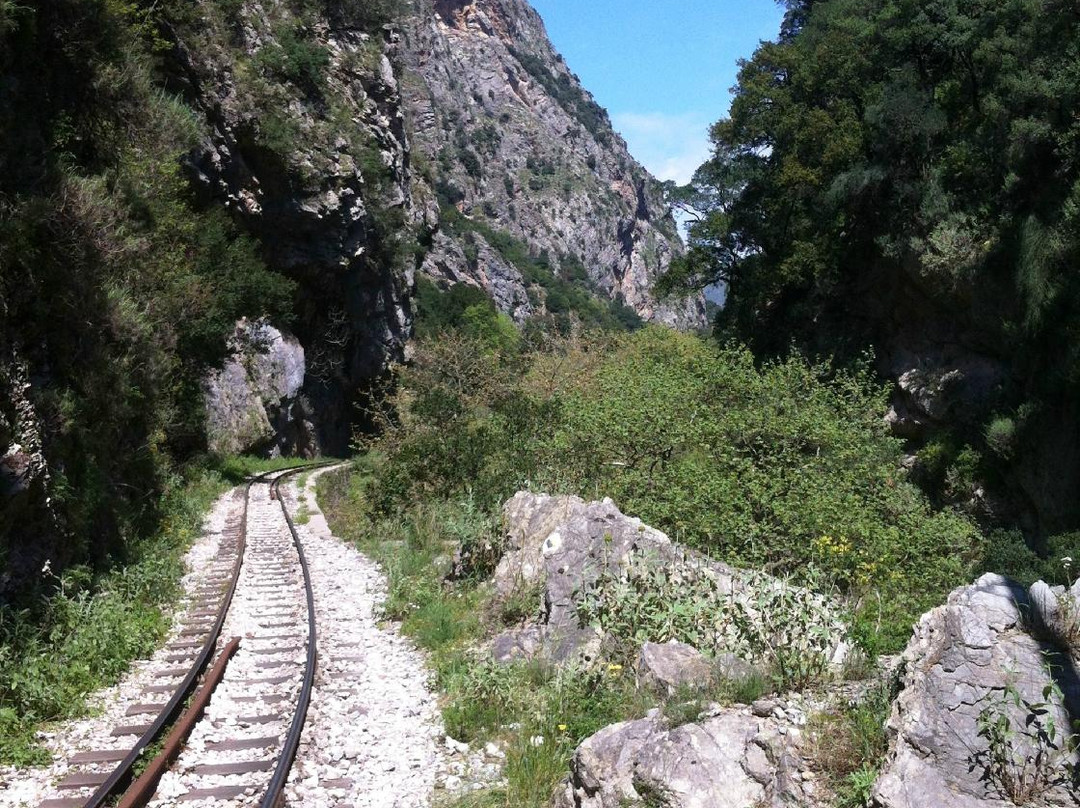 Chris Paul Hotel主图