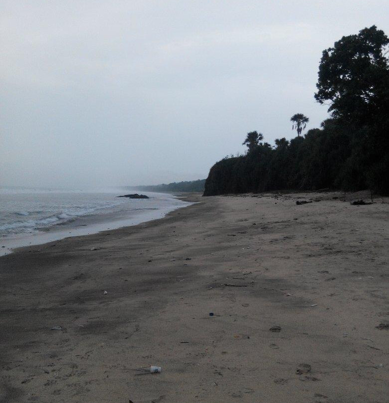 Alas Purwo National Park-巴纽旺宣必去景点