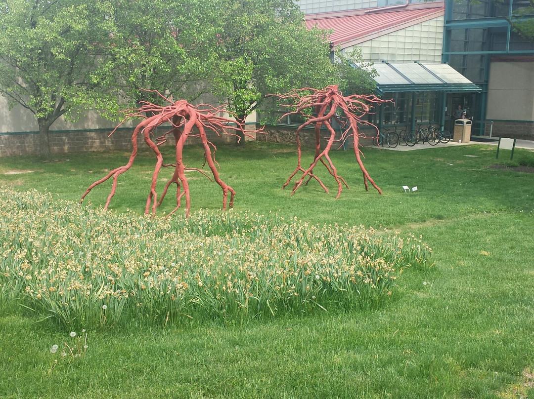 Michener Art Museum景点图片