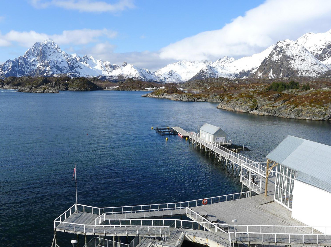 The Lofoten Aquarium景点图片