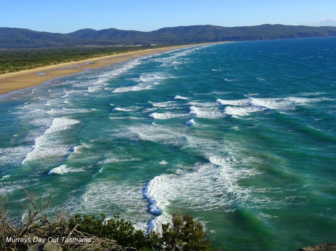 Devonport旅游攻略图片