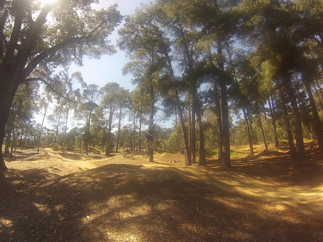 Westcoast Adventure & Surf School-Bells Beach必去景点