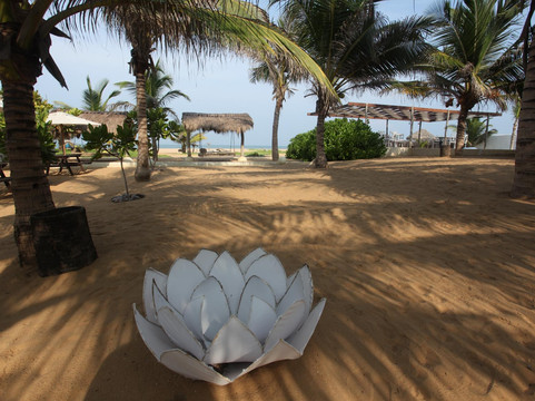 卡尔皮蒂耶酒店住宿-海豚海滩度假村