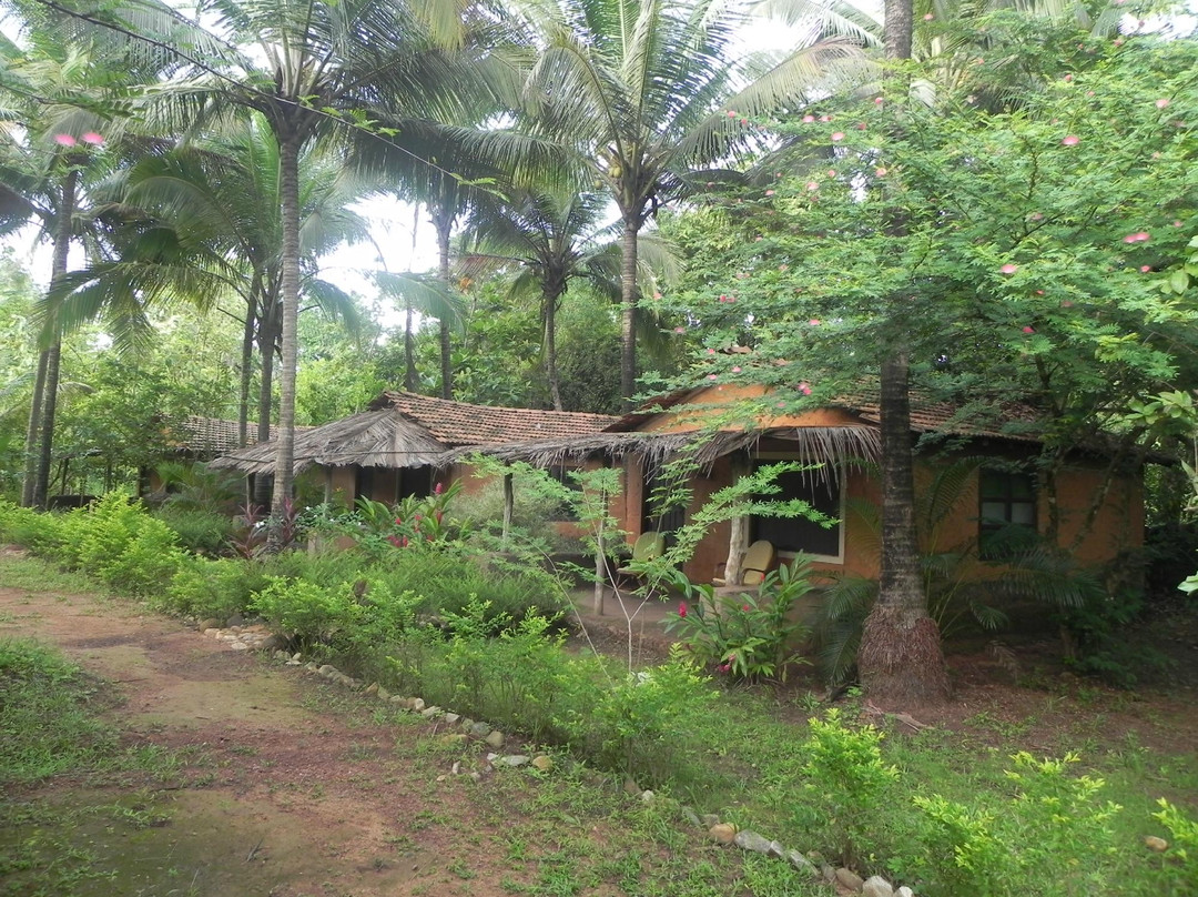 Canopy Nature's Nest Goa
