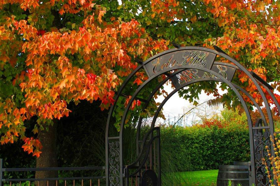 Eola Hills Wine Cellars-Rickreall必去景点