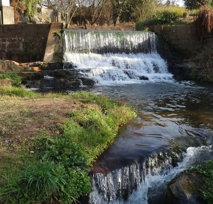 Sabie Waterfalls景点图片