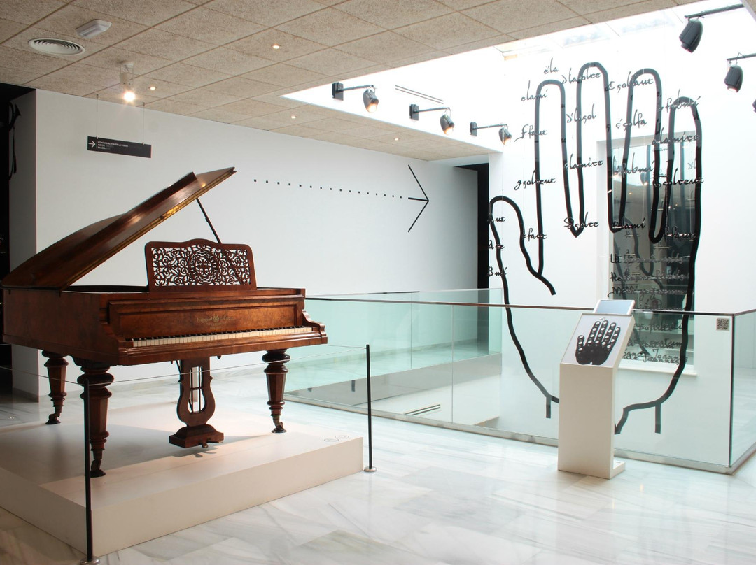 Museo Interactivo de la Musica Malaga景点图片