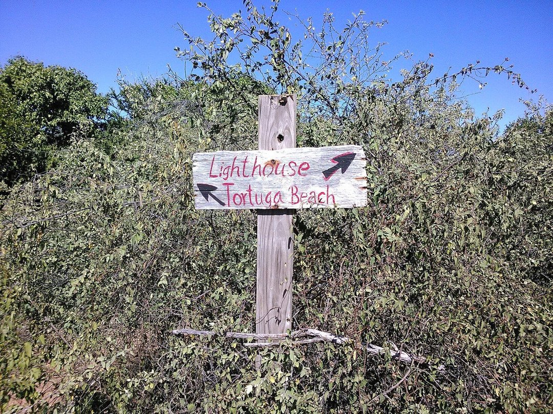 Culebrita Lighthouse-库莱布拉岛必去景点