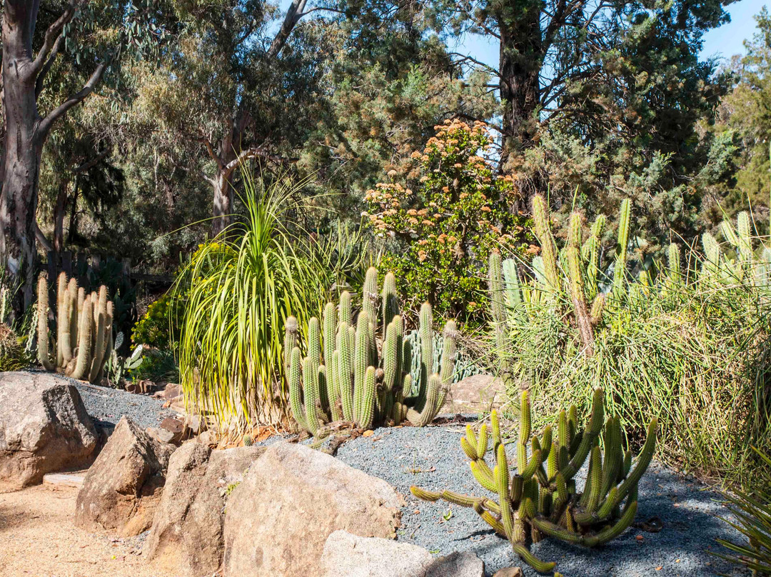 Wagga Wagga Botanic Gardens景点图片
