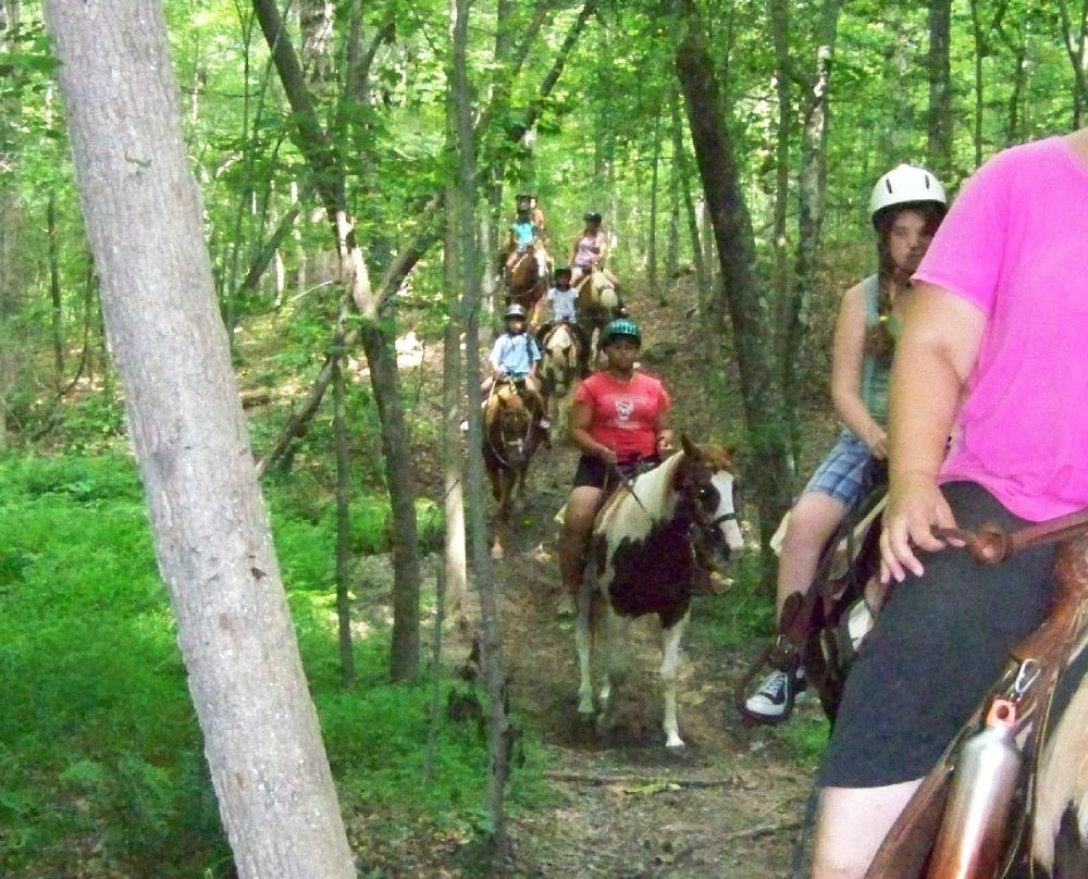 Happy Trails Farm - Private Trail Rides景点图片