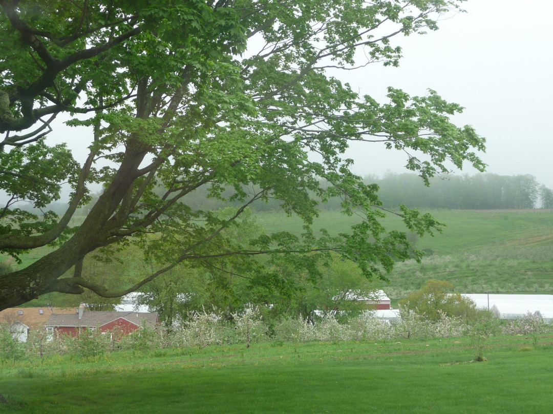 March Farms-Bethlehem必去景点