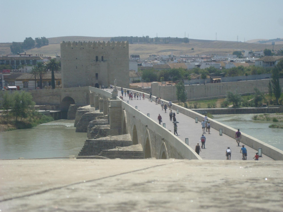 Puerta del Puente景点图片