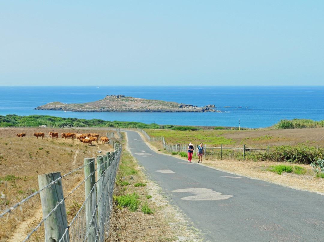Landescape Walks景点图片