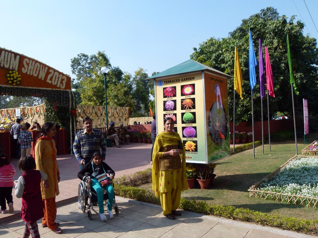 Terraced Garden-昌迪加必去景点