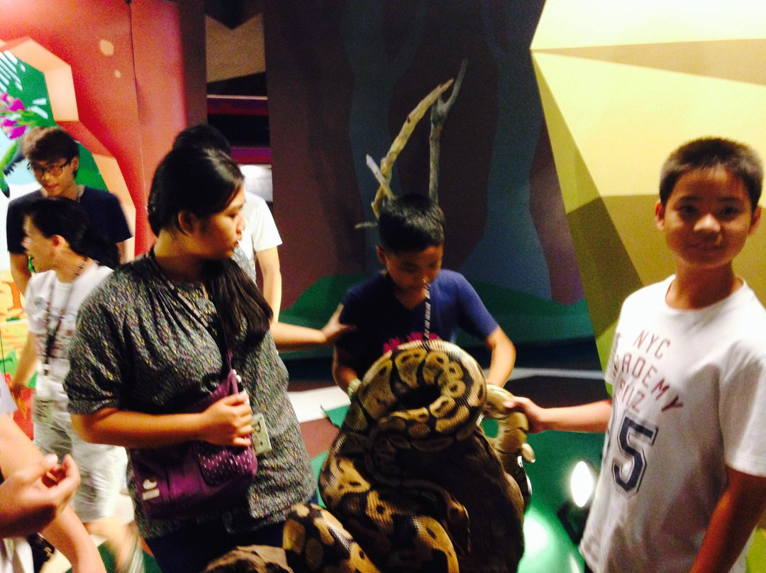 Real Zoo Thailand-乌太必去景点