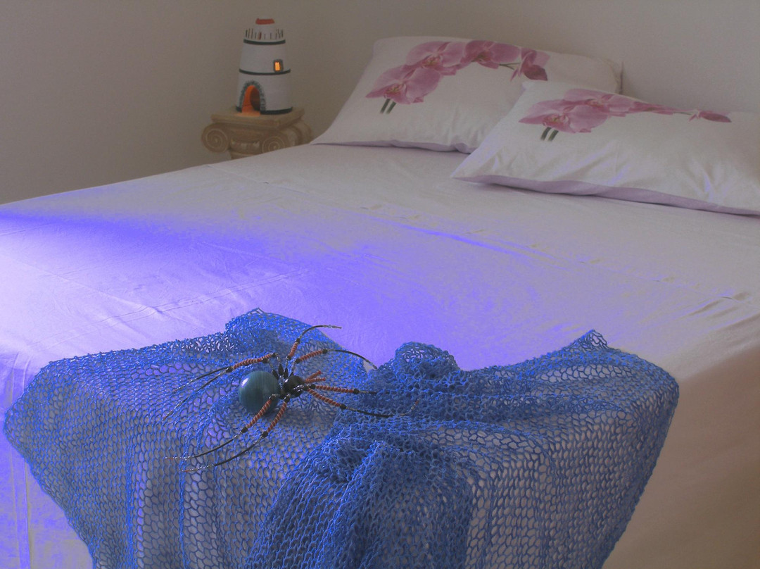 Noha酒店住宿-B&B Allo Scrigno