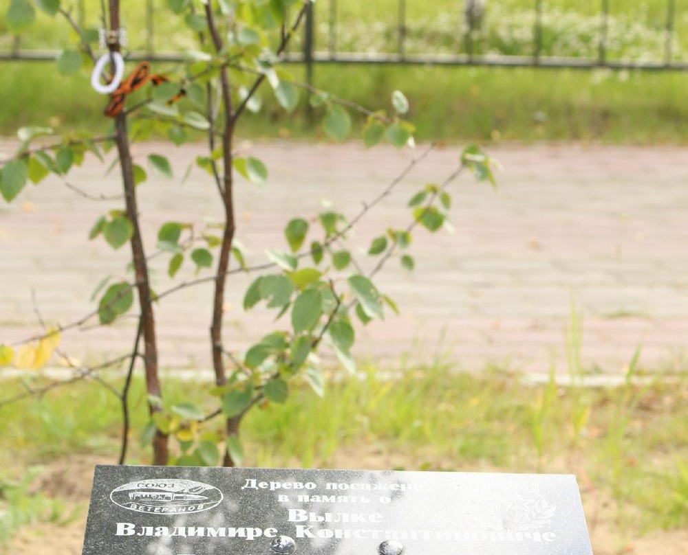 Monument to Participants of Local Wars and Armed Conflicts景点图片