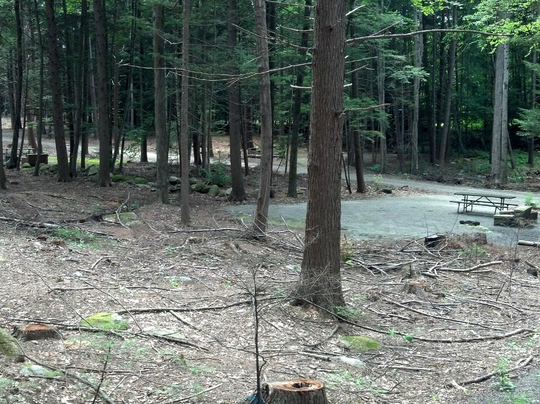 Fort Dummer State Park-布拉特尔伯勒必去景点