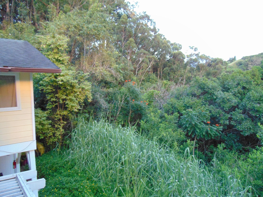 Bamboo Valley Inn主图