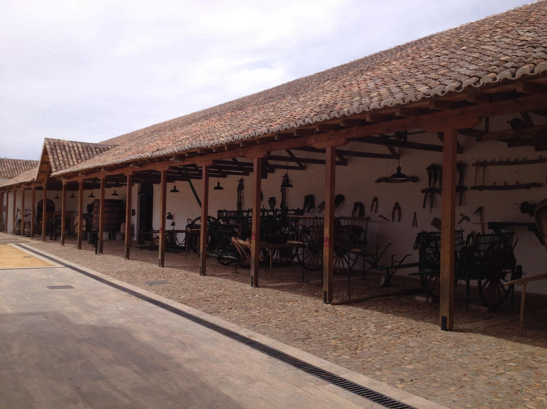 Museo del Vino景点图片