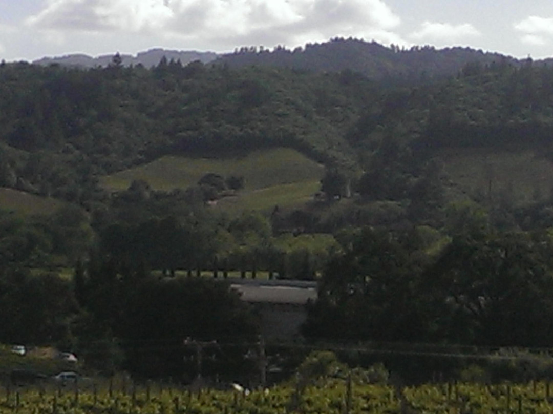 CAST Wines景点图片