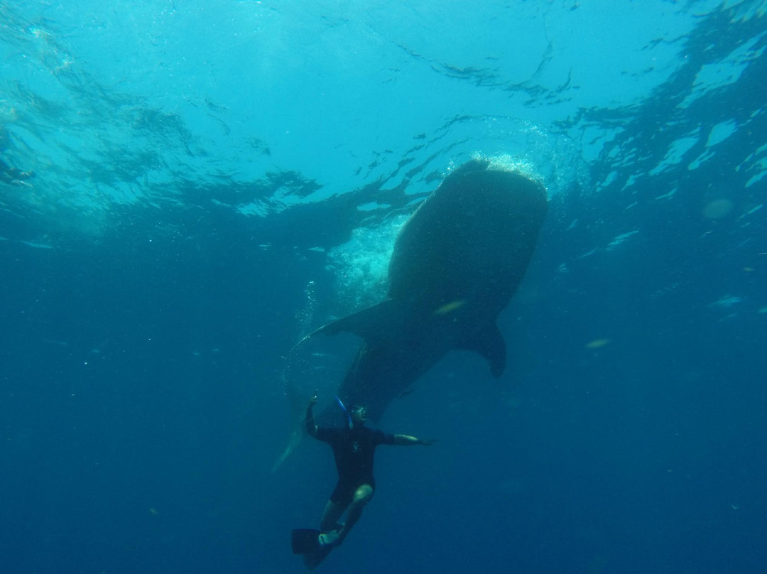 Explora Mexico Riviera Maya-普拉亚德尔卡曼必去景点