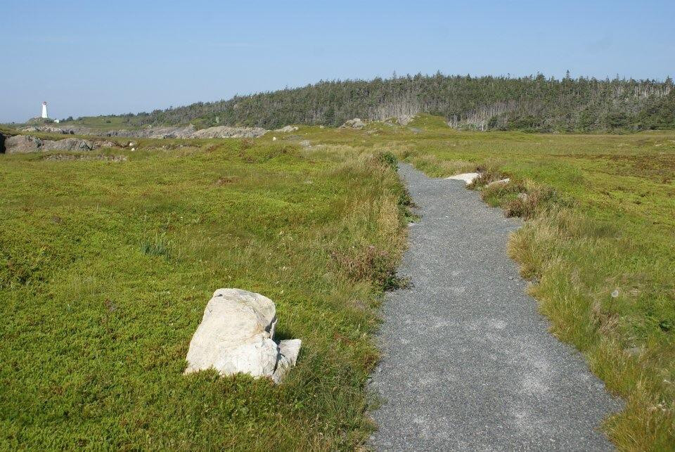 Louisbourg Lighthouse Coastal Trail景点图片