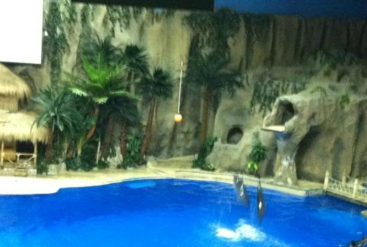 北京海洋馆-北京市必去景点