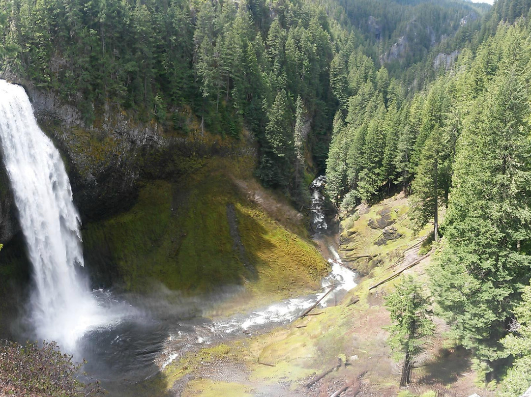 Salt Creek Falls-Oakridge必去景点